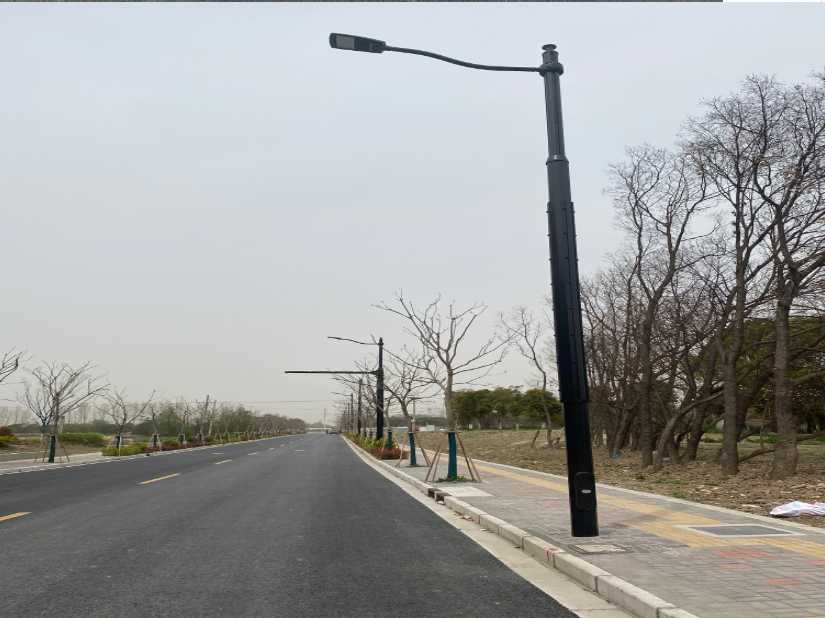 绿园区上海综合杆 太阳能路灯工程